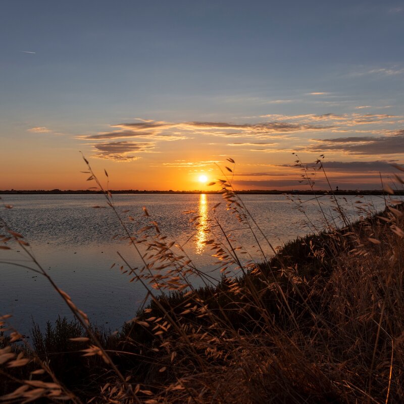 Centro Visite Saline di Cervia | © Dany Fontana