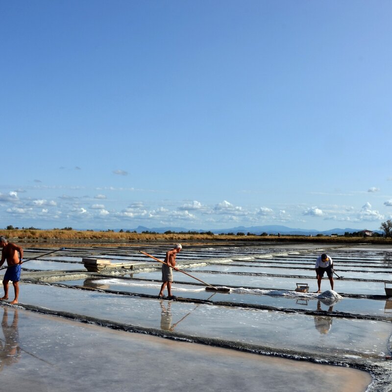 Centro Visite Saline di Cervia | © Archivio Cervia