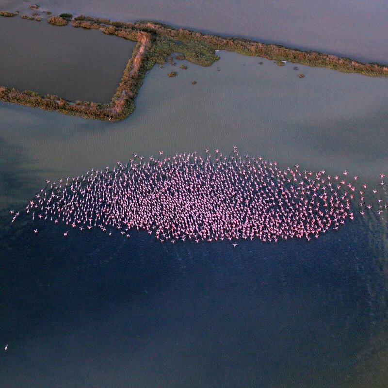 Parco Delta del Po | © Archivio Cervia