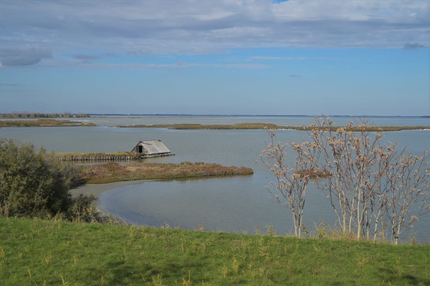 Parco Delta del Po | © Daniela Zanotti Parco Delta del Po | © Daniela Zanotti