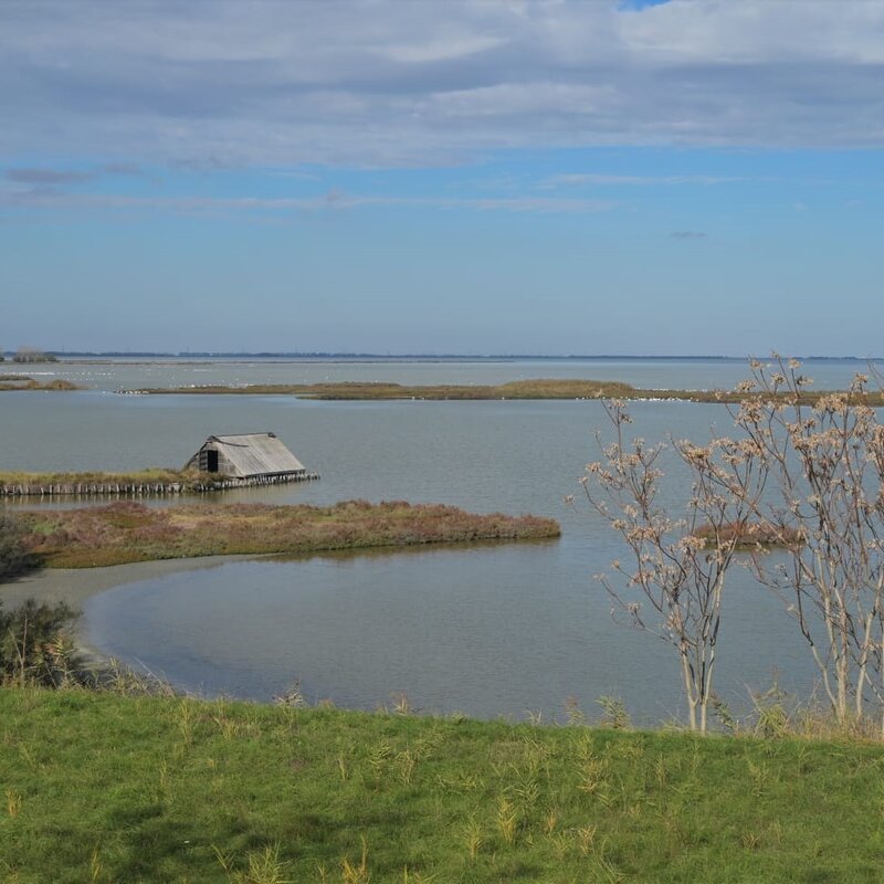 Parco Delta del Po | © Daniela Zanotti