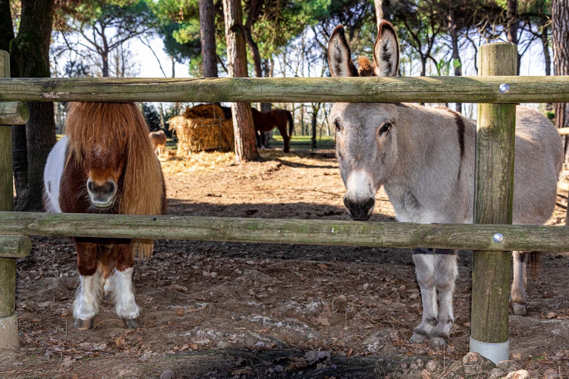 Parco Naturale | © Dany Fontana Parco Naturale | © Dany Fontana