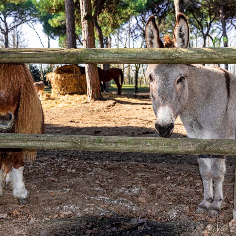 Parco Naturale | © Dany Fontana