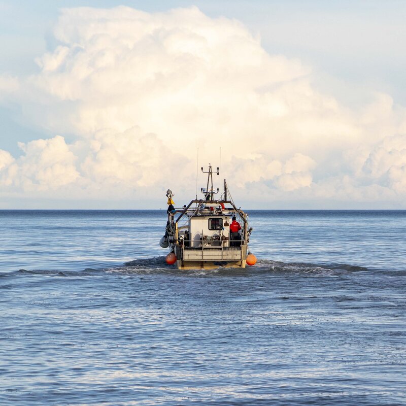 Il pesce dell'Adriatico | © Gruppo Fotografico Cervese