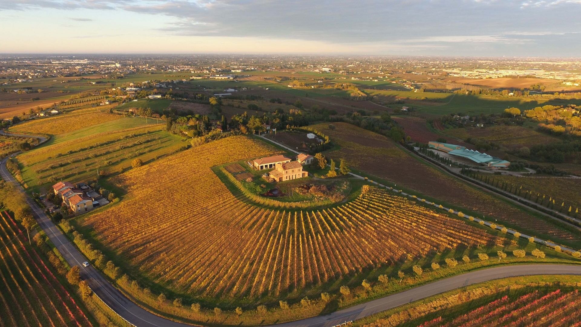 Vigneti a Bertinoro | © Massimiliano Baccolini
