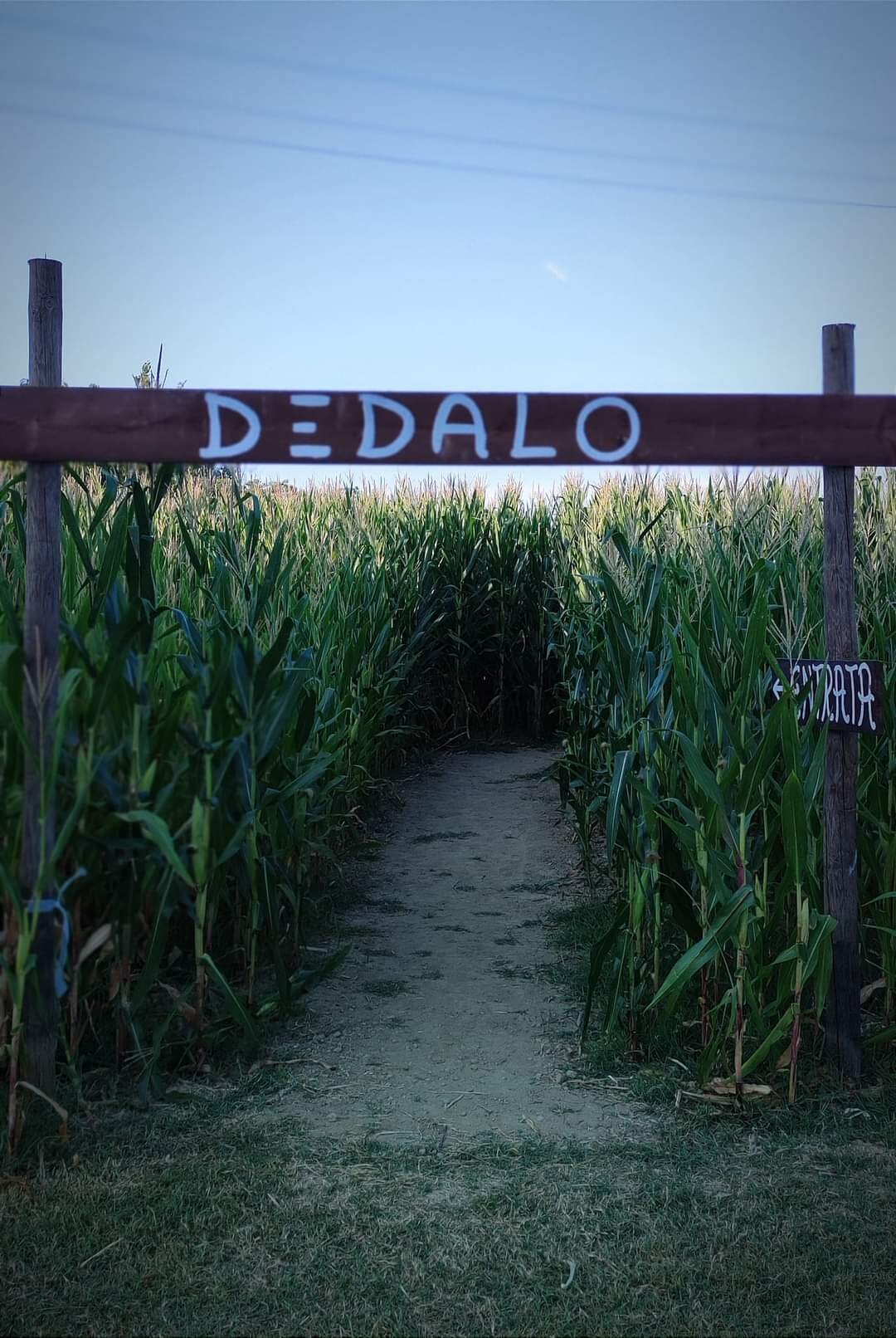 Labirinto di Dedalo | © Archivio Cervia Labirinto di Dedalo | © Archivio Cervia