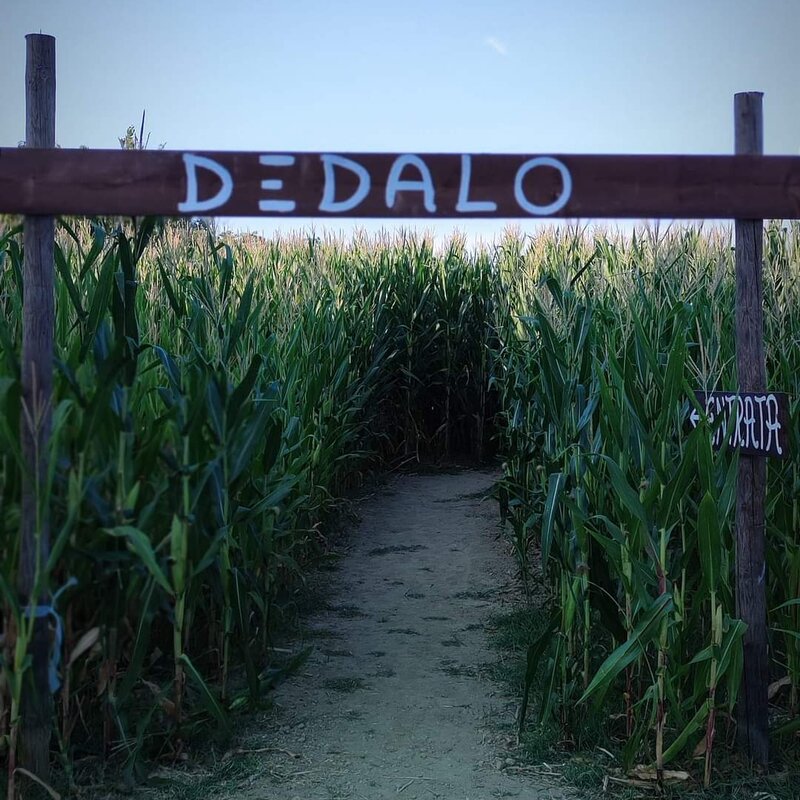 Labirinto di Dedalo | © Archivio Cervia