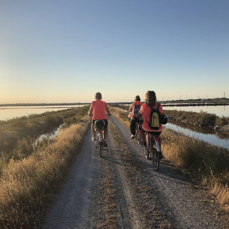 Bicicletta Alla Salina Di Cervia   Alice Bonanomi