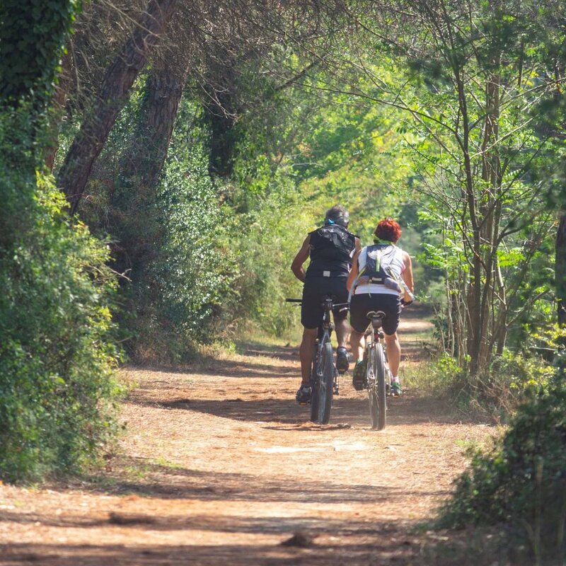 Slow Bike a Cervia | © Gruppo fotografico cervese