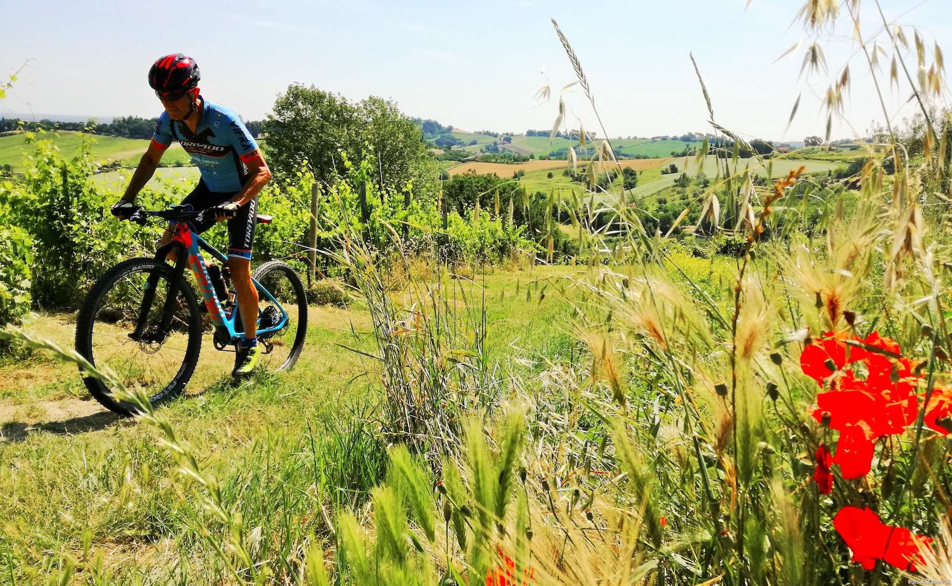 Bertinoro Tour  | © Zanardi