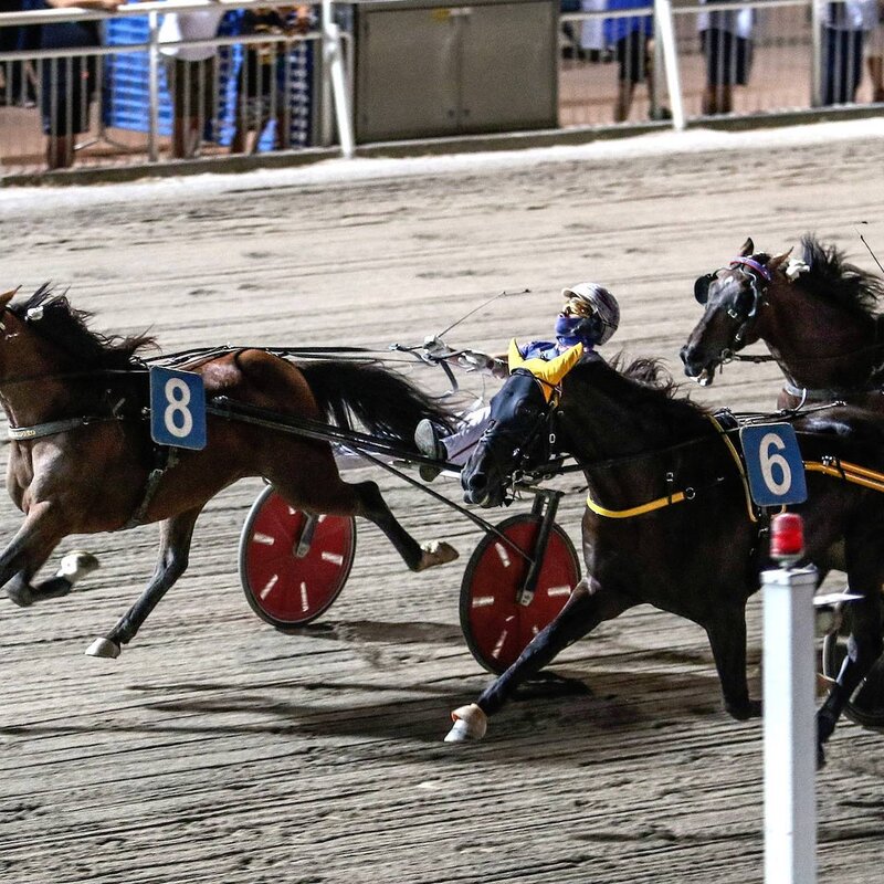 Ippodromo Cesena Trotto | © Luigi Rega