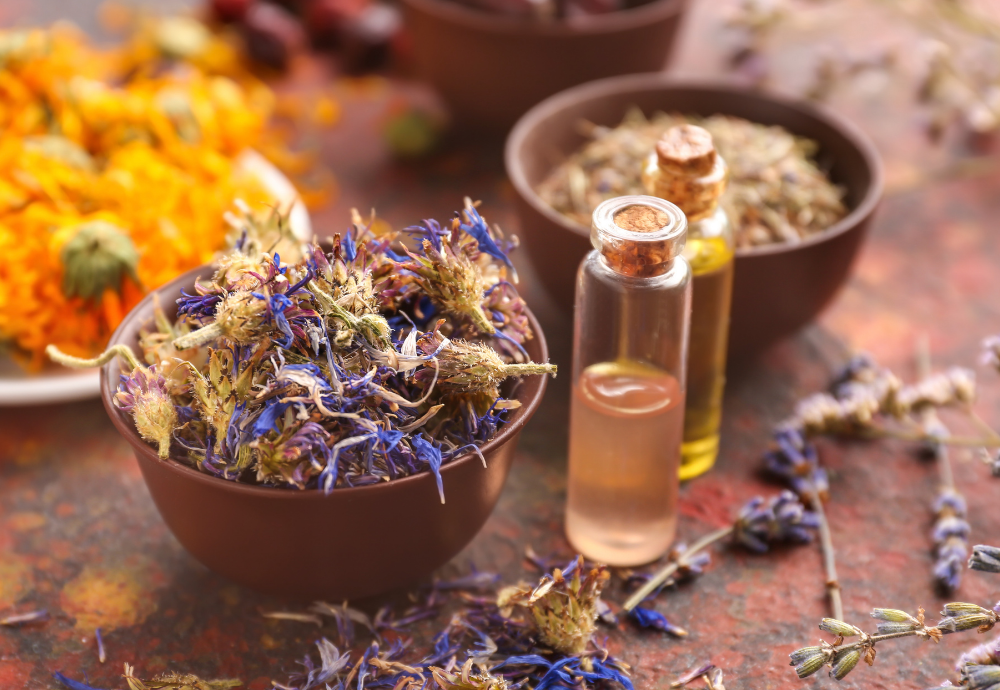 Le api, le farfalle, i fiori del giardino terrestre 