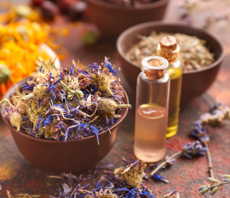 Herbal medicine market in Cervia