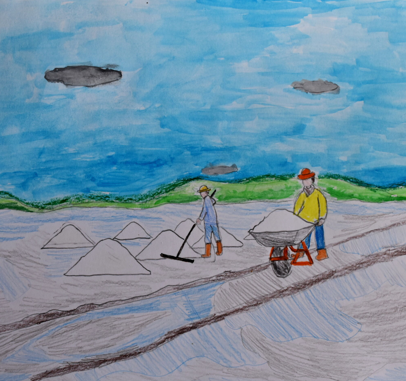 a scuola con i salinari