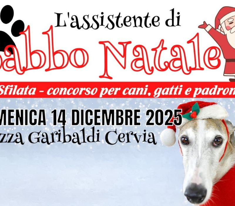 L'assistente-di-Babbo-Natale