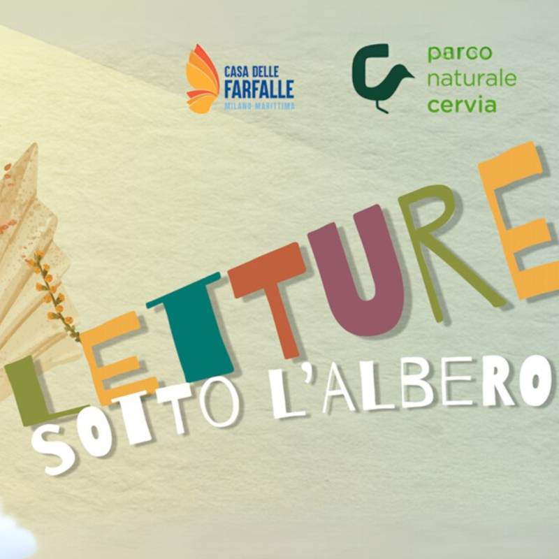 Letture sotto l'albero