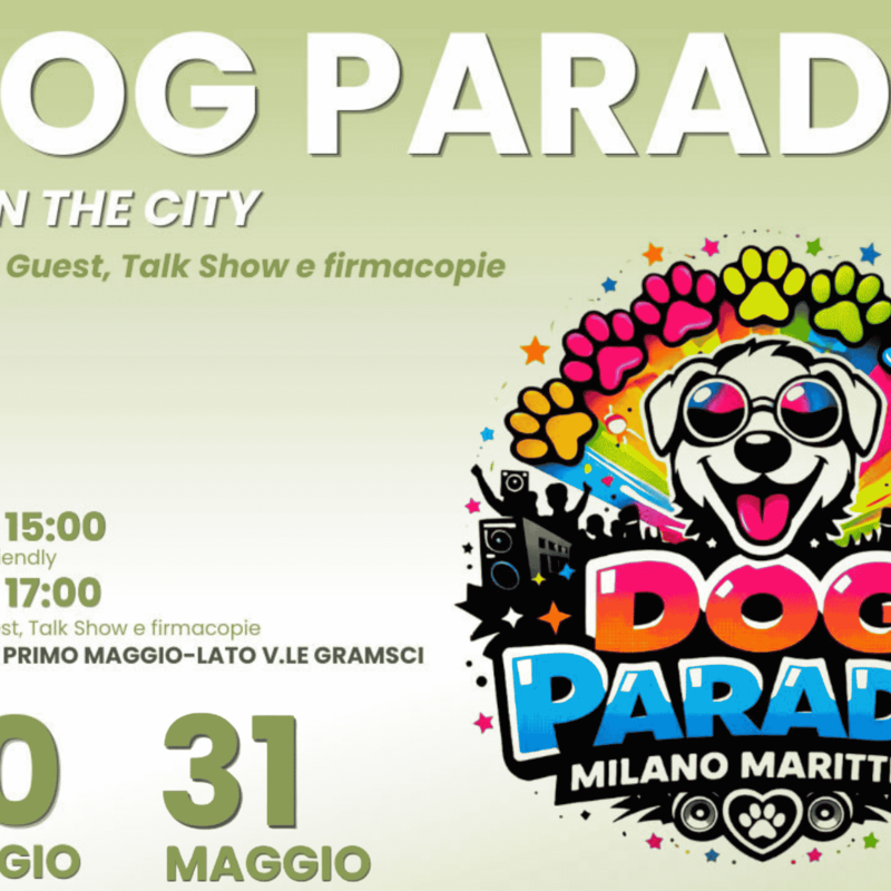 Dog Parade - Pet in the city