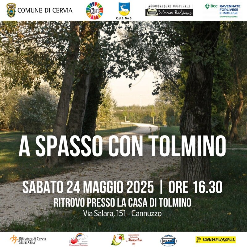 A spasso con Tolmino - locandina