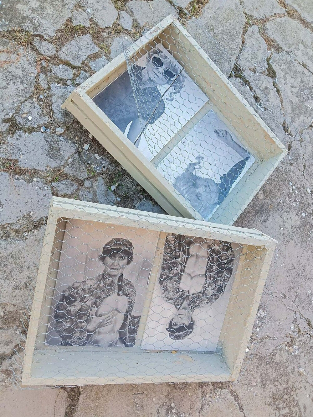 Il Volto dell'Artista - Festival delle Arti