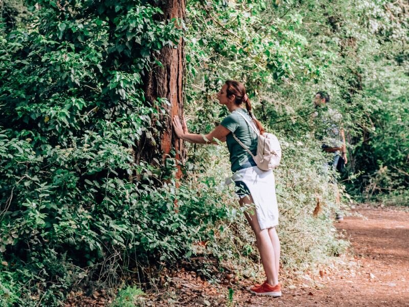 Forest Bathing al Parco Naturale di Cervia