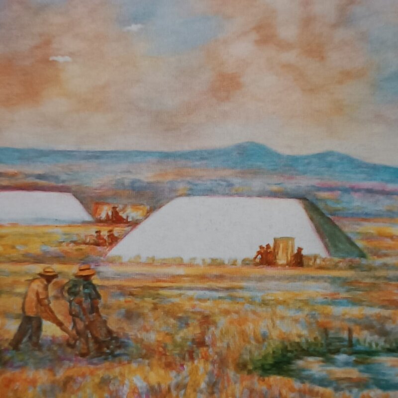 Werther Morigi, Piramide di sale
