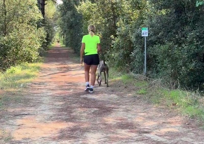 Romagna Dog Race