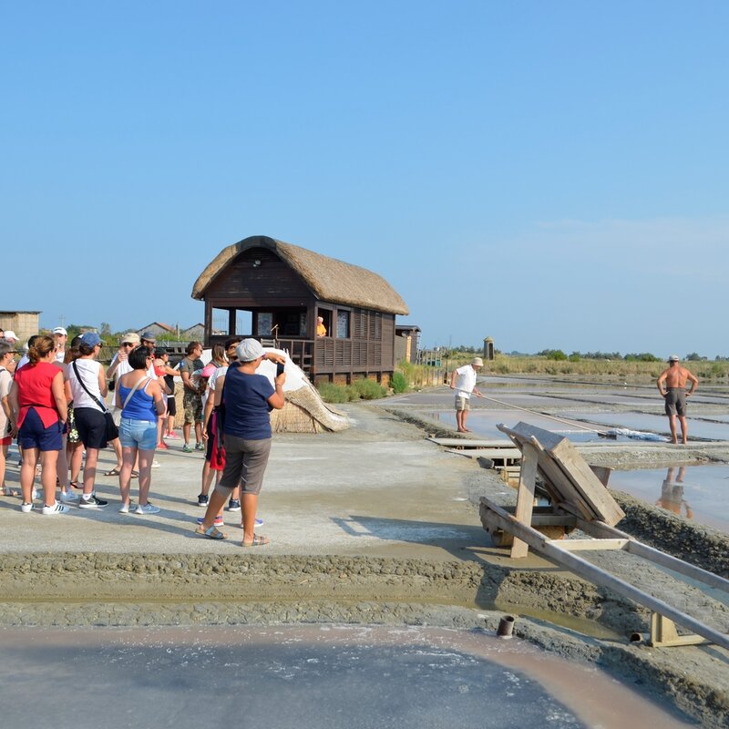 Cervia, Salina Camillone | © Archivio Musa