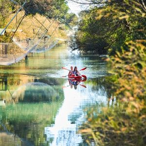 Canoa Pineta