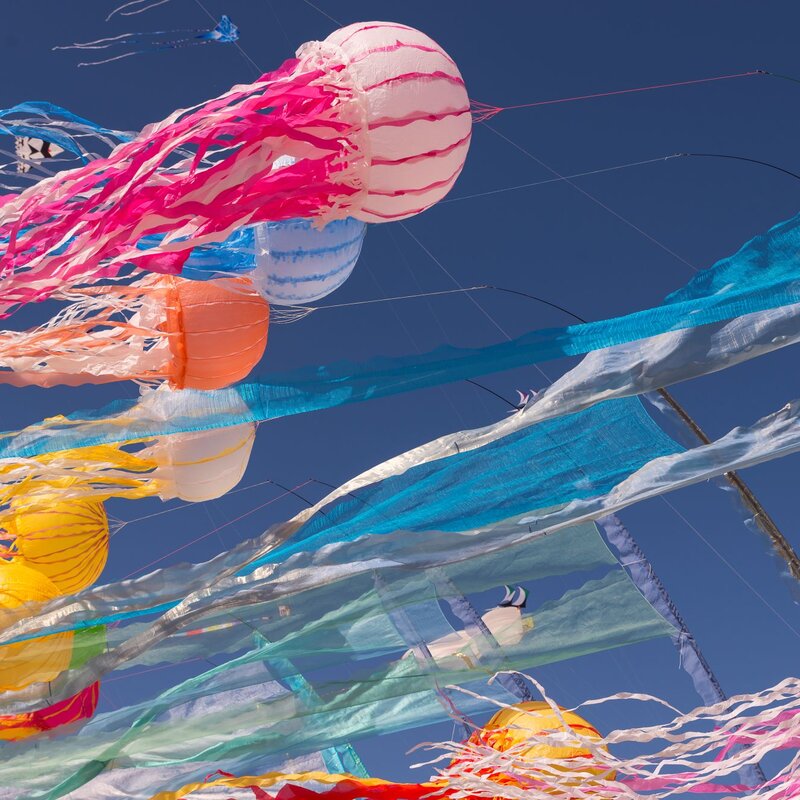 Artevento Cervia - Festival Internazionale dell'Aquilone