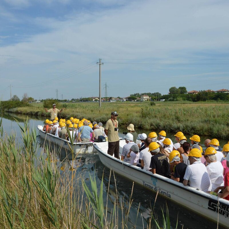Approdo in Salina; birdwatching tra specchi d'acqua e sentieri