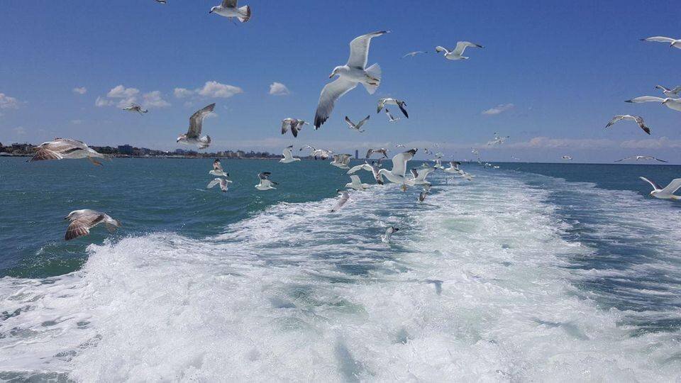Ausfl Ge Mit Dem Motorschiff New Ghibli 326486