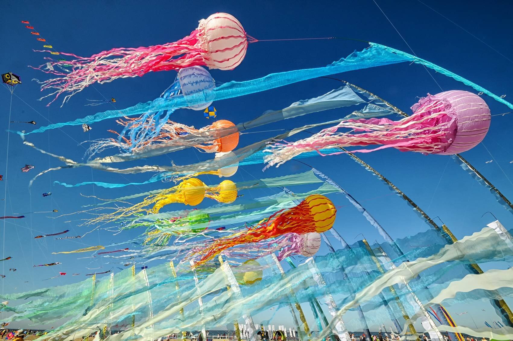 Offerta soggiorno - Artevento-Festival Internazionale dell'Aquilone - Dal 24 aprile al 4 maggio 2025