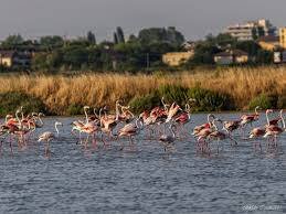 Wellness zwischen Meer und Apennin- vom 4. Mai bis 30. Juli