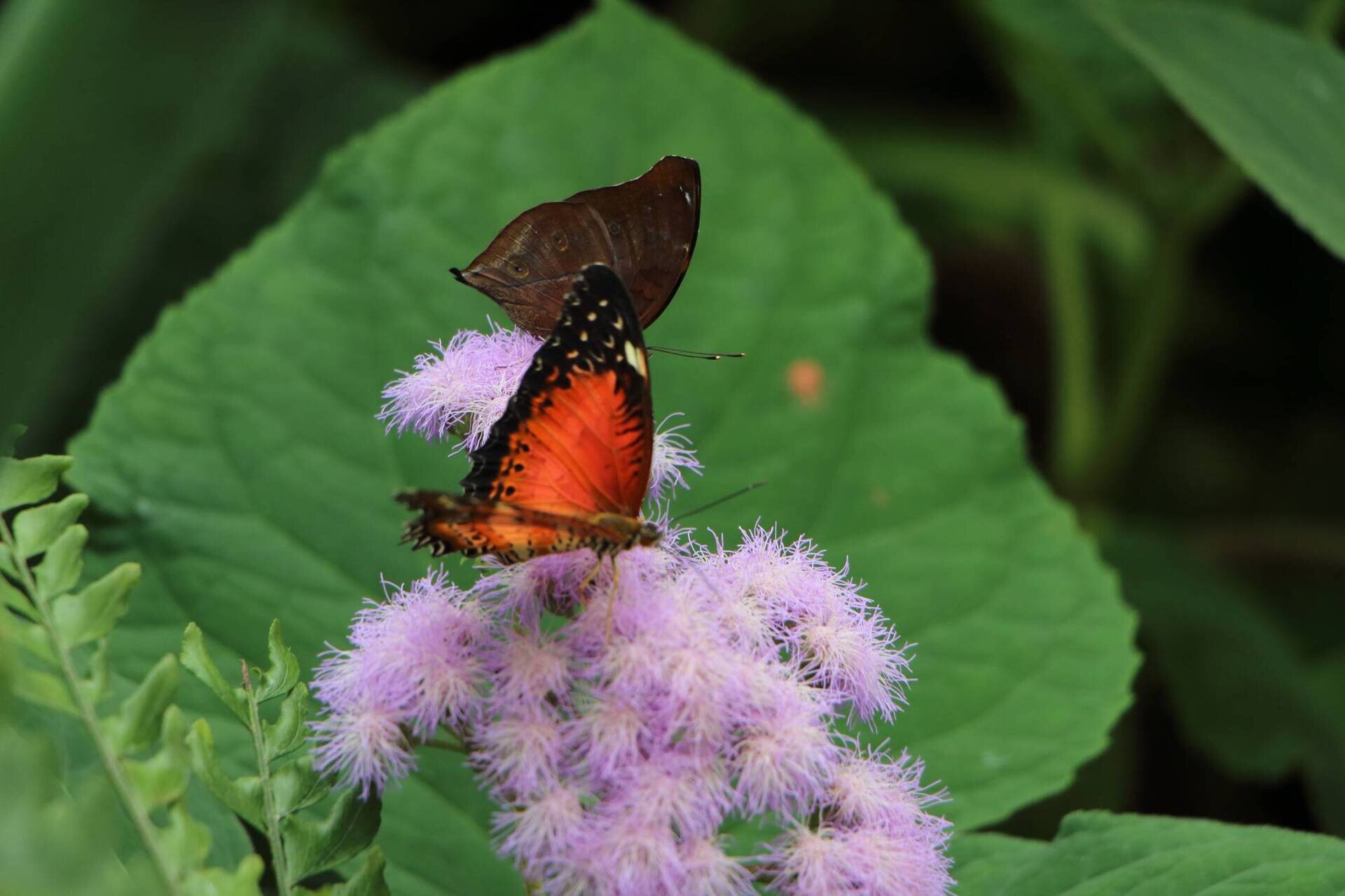 Holiday offer - Easter in Cervia from 3 to 7 April 2026