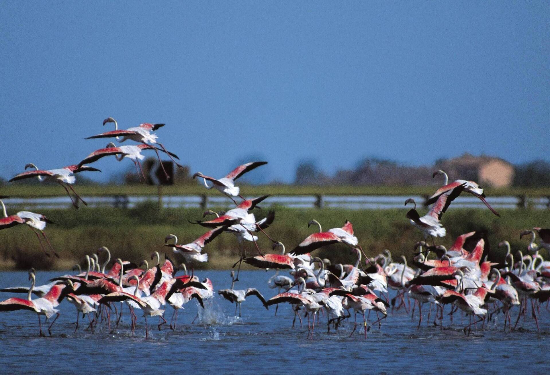 Accommodation offer - Discover adventure in Cervia