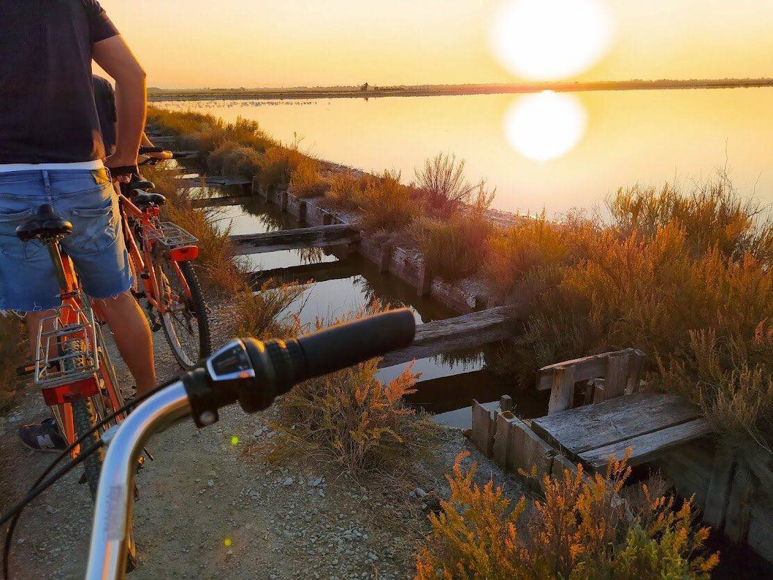Cervia Saltpan by Bike & Birdwatching