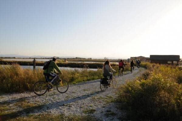 Saline mit dem Fahrrad und Birdwatching