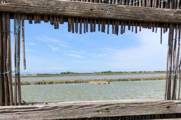 Saline - Zwei Schritte in die geschützte Natur