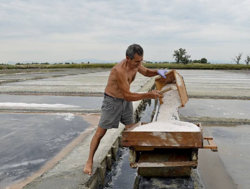 Salina- Walk through the salt pan