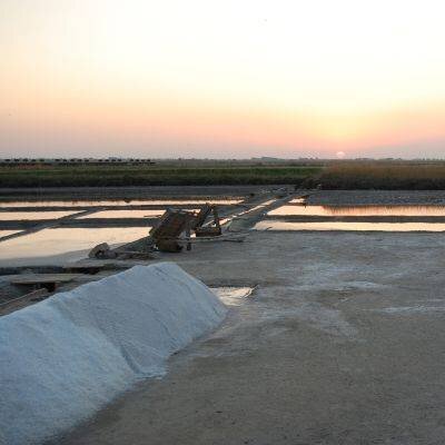 Saline Von Cervia Mit Dem Zug 337753