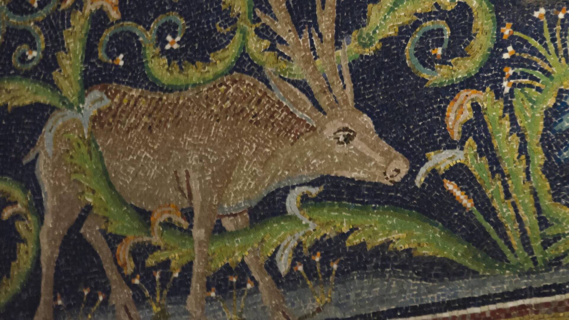 Tessere di Mosaico - Visita Guidata ai monumenti UNESCO di Ravenna