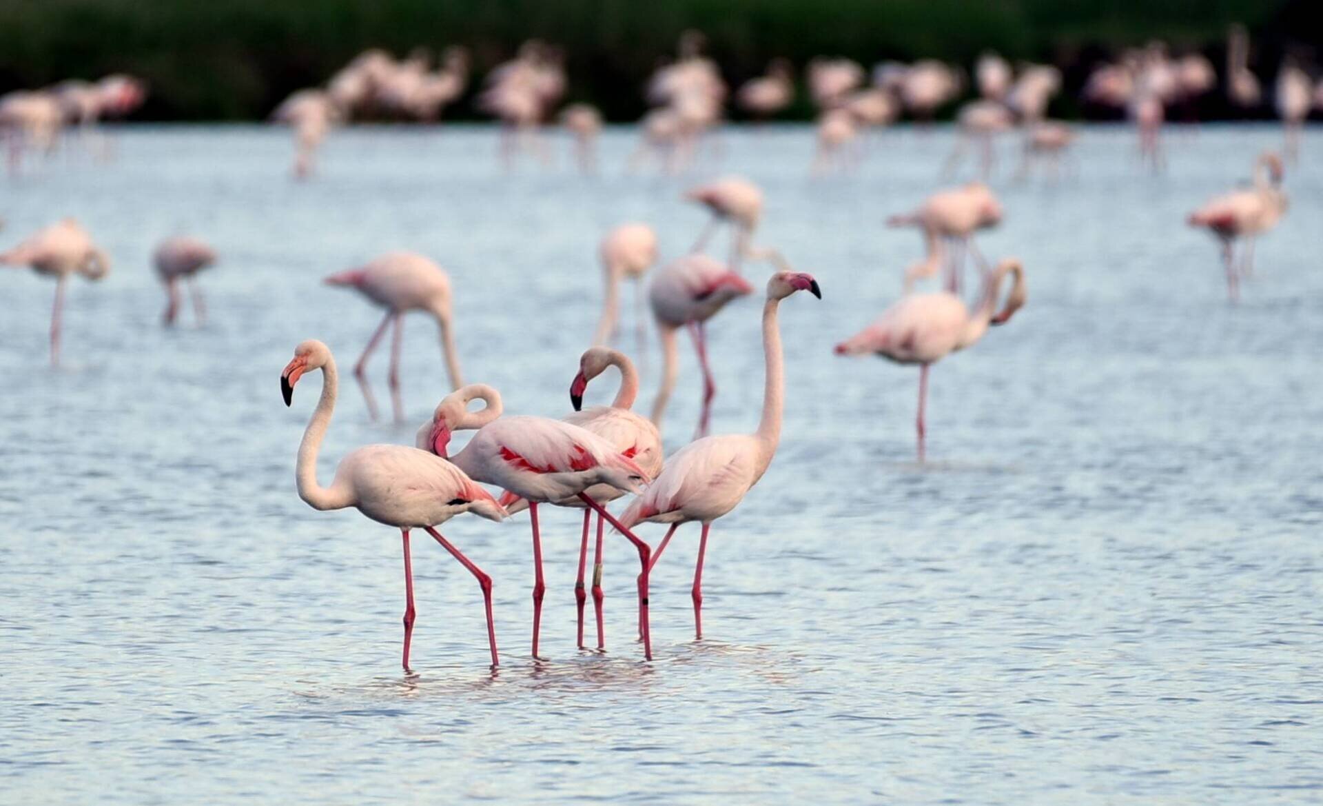 Gegen Sonnenuntergang